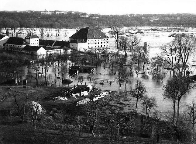 Snímek zaplavené části areálu pražské zoo pořízený údajně 19. března 1940, čtyři dny po povodni. Foto archív Zoo Praha